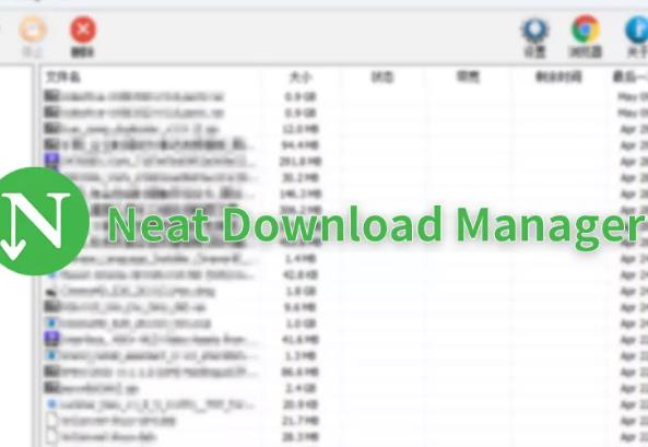 Neat Download Manager精简版